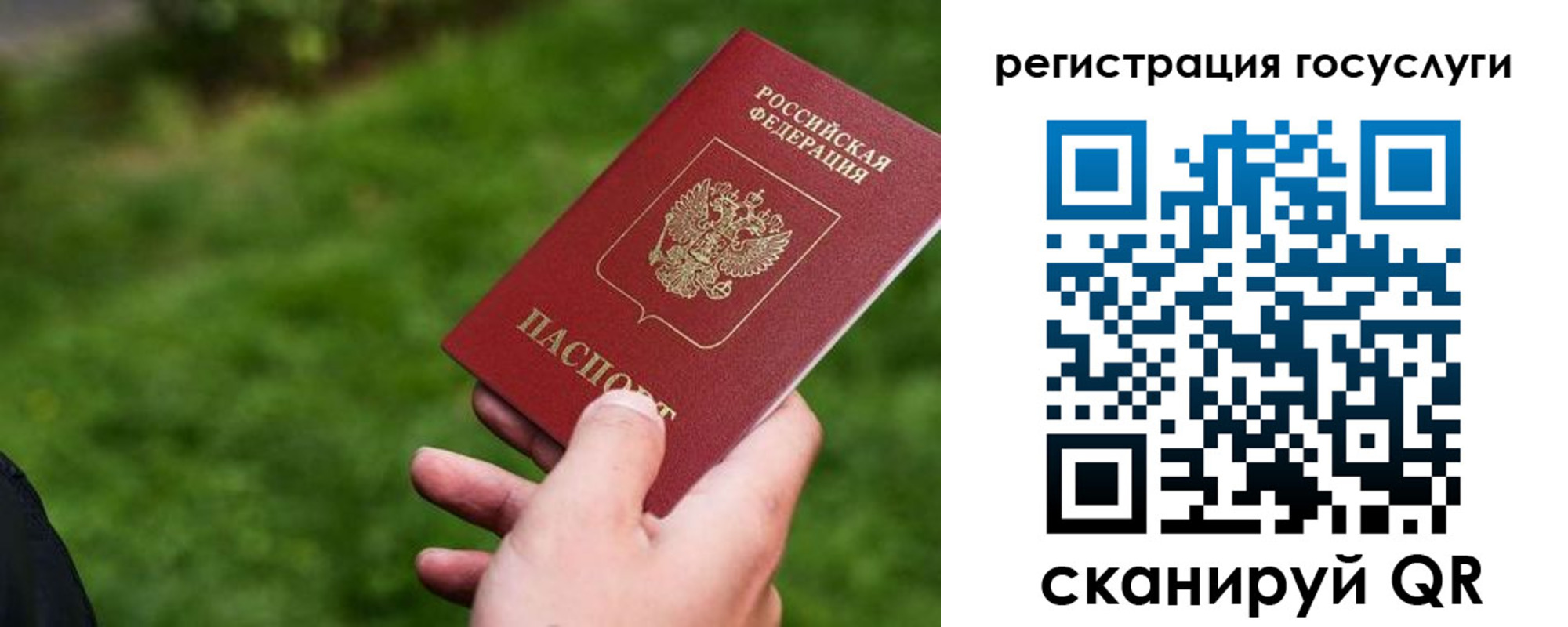 временная регистрация в Тогучине